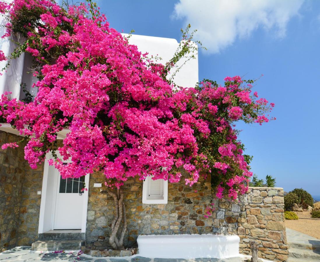 Vakantiehuis Sea Breeze Mykonos